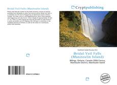 Buchcover von Bridal Veil Falls (Manitoulin Island)