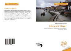 Bookcover of Amacuro River