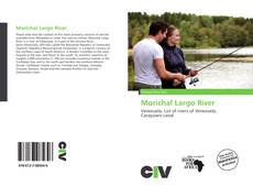 Copertina di Morichal Largo River