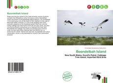 Buchcover von Boondelbah Island