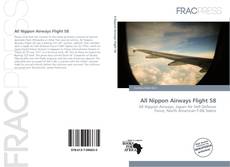 Capa do livro de All Nippon Airways Flight 58 