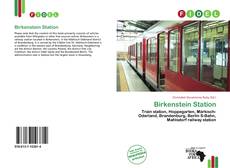 Portada del libro de Birkenstein Station