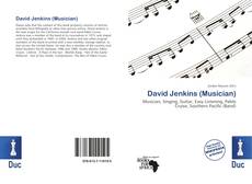 Buchcover von David Jenkins (Musician)