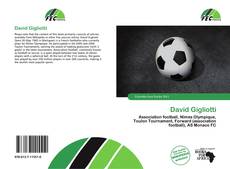 David Gigliotti的封面