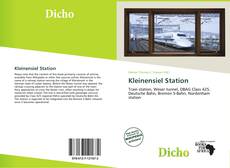 Buchcover von Kleinensiel Station