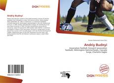 Copertina di Andriy Budnyi