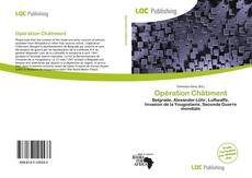 Capa do livro de Opération Châtiment 