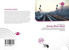 Buchcover von Jersey Shore Steel