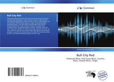 Capa do livro de Bull City Red 