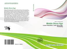 Buchcover von Middle Stone Age