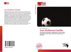 Juan Guillermo Castillo的封面