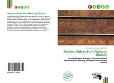 Portada del libro de Hayles Abbey Halt Railway Station