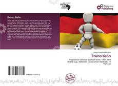 Couverture de Bruno Belin