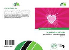 Copertina di Intercostal Nerves