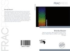 Bookcover of Brenda Boozer