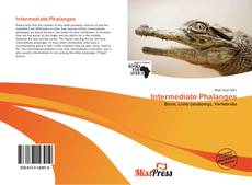 Copertina di Intermediate Phalanges