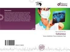 Calcaneus的封面