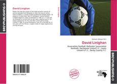 Copertina di David Linighan