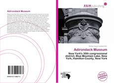 Capa do livro de Adirondack Museum 