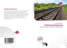 Falaknuma Express kitap kapağı