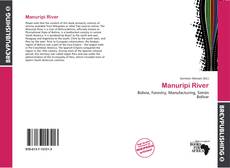 Copertina di Manuripi River