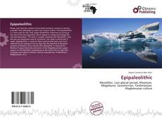 Copertina di Epipaleolithic