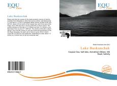 Bookcover of Lake Baskunchak