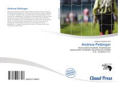 Bookcover of Andrew Pettinger