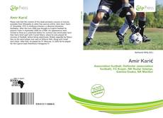 Bookcover of Amir Karić