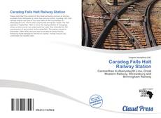 Bookcover of Caradog Falls Halt Railway Station