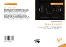 Bookcover of Calvin Plummer