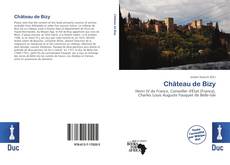 Buchcover von Château de Bizy