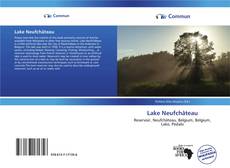 Capa do livro de Lake Neufchâteau 