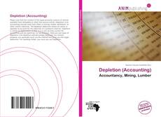 Capa do livro de Depletion (Accounting) 