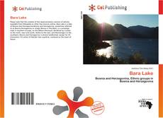 Buchcover von Bara Lake