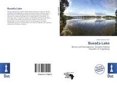 Bookcover of Busača Lake