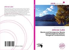 Portada del libro de Jelovac Lake