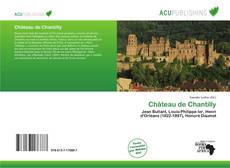 Bookcover of Château de Chantilly