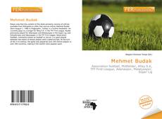 Bookcover of Mehmet Budak