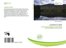 Bookcover of Laminci Lake