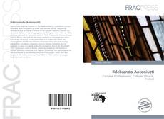 Buchcover von Ildebrando Antoniutti