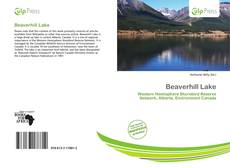 Bookcover of Beaverhill Lake