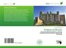 Bookcover of Château de Druyes