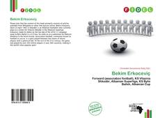 Capa do livro de Bekim Erkoceviç 