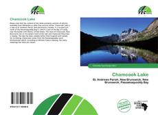 Chamcook Lake的封面