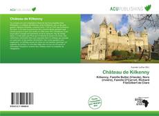 Copertina di Château de Kilkenny