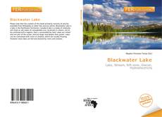 Bookcover of Blackwater Lake