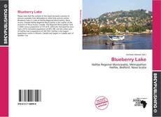 Copertina di Blueberry Lake