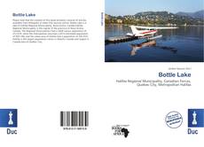 Copertina di Bottle Lake