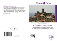 Château de Pesselières kitap kapağı